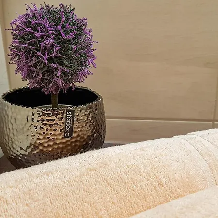 Liana Hrebienok C206