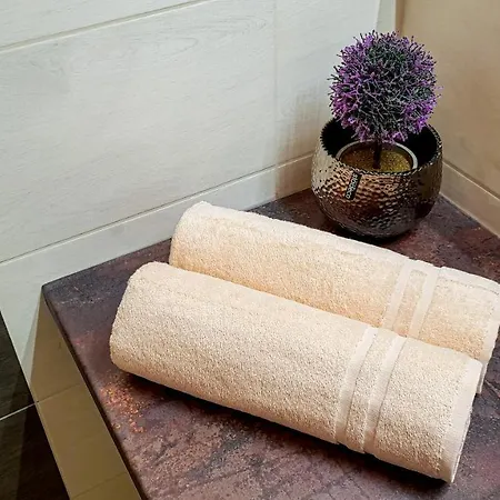 Liana Hrebienok C206