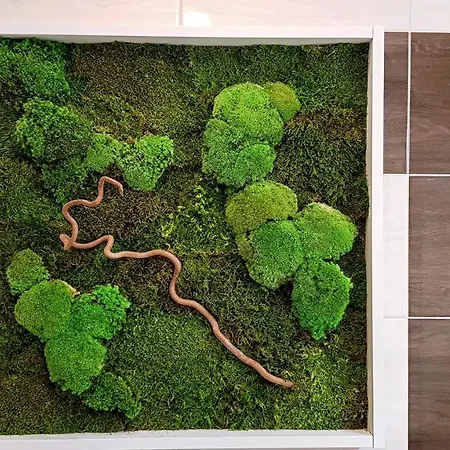 Liana Hrebienok C206 Apartment Vysoke Tatry